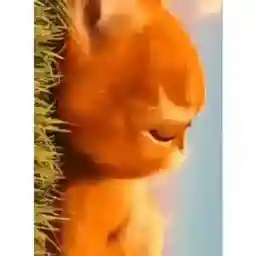 XSLHPd