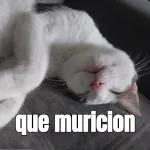 que muricion
