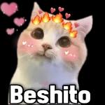 ❤️❤️❤️