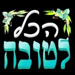 הורדה חינם, עדכונים יומיים, אין צורך בכניסה
