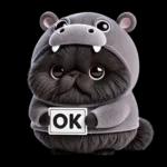 แมวดำ ฮิปโปแคระ