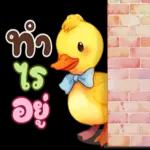 ฟอร์
นง