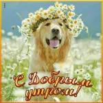 Доброе утро