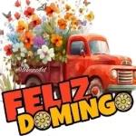 domingo 