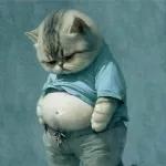 Oye eres el Amor de mi Vida, Te amo Corazón