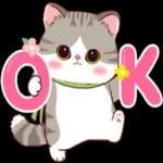 🔥🔥今日熱門貼圖👍速來！⬇️