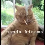 nanda kisama