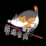 肥貓躺躺(上班鳥事)