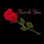 Flowers only for you💐💐💐
