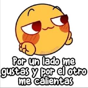 Por un lado me gustas y por el otro me calientas - getsticker.com