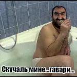 Иди ёжиков паси