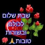 יאיר רומר כאור החמה