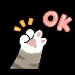 愛撒嬌的奶油小生 (虎斑貓)