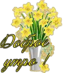 утро