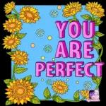 you are perfect