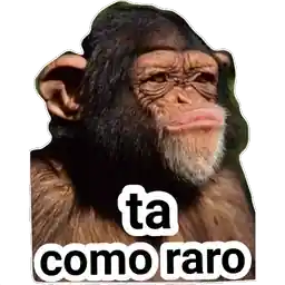 monitos mamones