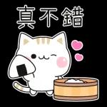 善解人意的小貓貓