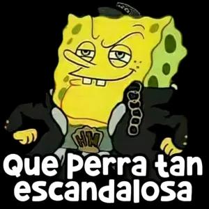 BMsg5E