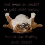 Und wenn du denkst es geht nicht mehr... kommt der Freitag doch daher!