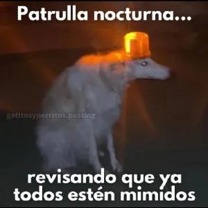 NNap8Y