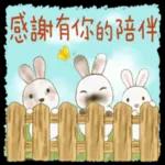 彩色铅笔兔兔 pack1