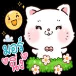 เซ็งเป็ด