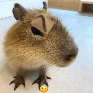🤔 - getsticker.com