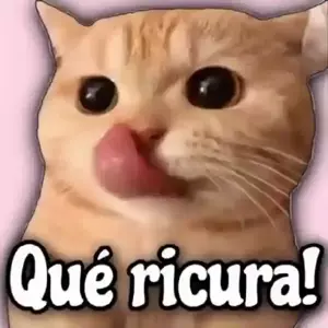 BjfJ7Y