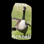 Geschwister sind nie alleine, denn sie tragen immer den anderen im Herzen!