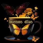 buenos días