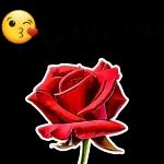 ܕܘ ܢܒܩܟܘ S&F