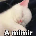 Hasta mañana