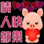 可愛豬 很想你