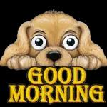 Wishing you a
day full of
sunny smile and
Happy Thoughts
Good Morning