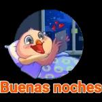buenas noches 