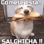 iiiiisa
