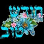 Seal kafadan 27PY INDYD p"NeN