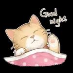 Gute Nacht  
