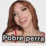 Pobre perra