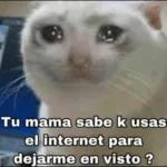 Tu mama sabe k usas el internet para dejarme en visto ?