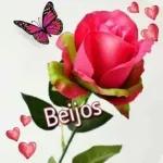 feliz dia dos namorados
