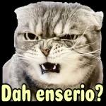 Caes mal