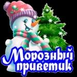 в ватцап 