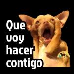 cuenta el chisme