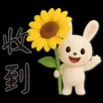 可愛白兔 夏日常實用問候