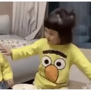 bSgSIr