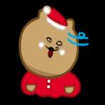 狐狸博美犬 2 x聖誕節