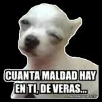 NO ME PIENSAS HABLAR