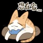 畫說日常：實用系貓咪貼圖