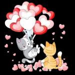 Just want to tell you I love you